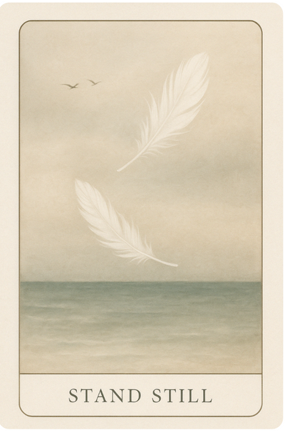 Tarot Card of the Day