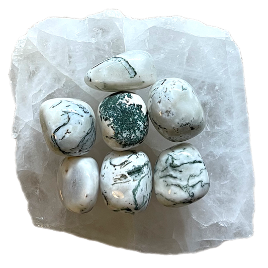 Moss Green Agate